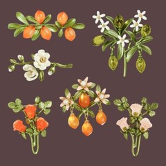 Vintage Plant Flower Brooches Elegant Woman Wedding Clothes Brooch Accessories