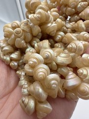 VTG NECKLACE IRIDESCENT TROCHUS SEA SHELL OPALESCENT TROPICAL JEWELRY NICE!
