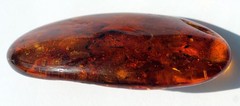 VINTAGE/ ANTIQUE GENUINE BALTIC AMBER BROOCH WITH FOSSIL INSECTS 19.5g