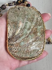 Rare Beautiful Huge Pendant ABOLONE Necklace 24″