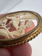 Vintage France Depose Celluloid Bird Brooch Trombone Clasp