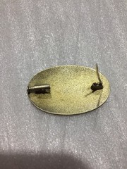 Brooch silver 875 Russian Soviet vintage USSR Severnaya Chern’ Gold Plated 9grm