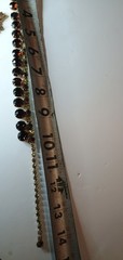 Vintage Brown Rhinestone Bracelet & Necklace Set 1950’s 1960’s