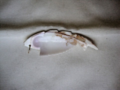 VINTAGE 1970-80s HANDMADE CARVED NATURAL SEASHELL FISH PENDANT