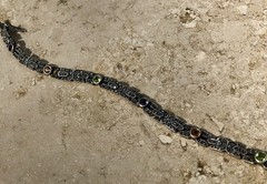 🌝✨STACKABLE Vintage STERLING SILVER MULTI Color GEMSTONE 💎 MARCASITE Bracelet✨