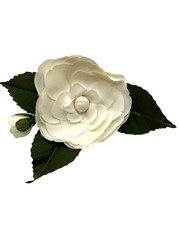 Vintage Camellia flower silk pin boutonniere lapel Millenary for Hat or Cocktail