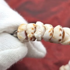 Vtg Tiger Puka Shell Bracelet 7.5″ Spring Ring Closure Weighs 0.5 oz.