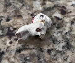 Vintage Signed Erwin Pearl Bichon White Santa Hat Dog Enamel 1.25” Brooch Pin
