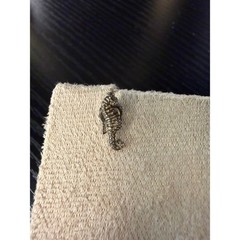 Vintage Sterling Silver Seahorse Stud Earrings Nautical Marine Jewelry 80 Ster