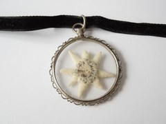 Chain Pendant 835 Silver Glass Edelweiss Velvet Band 8,8 g/ca.39 cm/5,3 x 3,8 cm