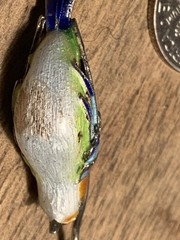 Vintage Enamel Sterling Silver Lovely Artisan Bird Of Paradise Pendant