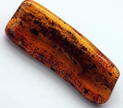 VINTAGE/ ANTIQUE GENUINE BALTIC AMBER BROOCH WITH FOSSILS AND INSECT 17.32g