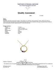 Circular 14K Gold Citrine Topaz Peridot Amethyst Multi Stone Necklace