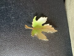 Vintage Maple Leaf Brooch