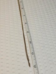 Vtg Speidel 12K Yellow Gold Filled 22 Inch Curb Link Chain Necklace Signed
