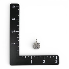 Sterling Silver Lets Roll Charm for Bracelet USA Shield Brown County Silver