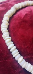 Vintage Hawaiian 10mm Puka shell necklace 16.5″ w/barrel clasp