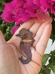 STUNNING VINTAGE ESTATE MCM ENAMELED COPPER SEAHORSE 2 7/8″ BROOCH GORGEOUS!!!