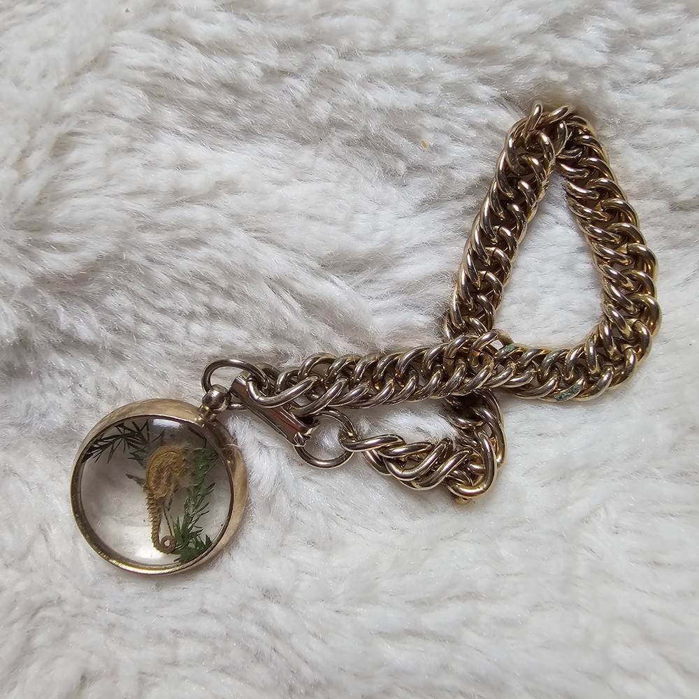 Vintage Preserved Seahorse Bubble Charm Fob Gold Tone Bracelet Jewelry Beach