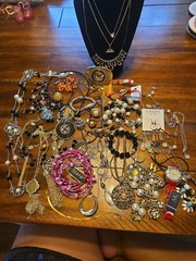 Lot 1 Mixed Lot All Marked Jewelry Anne Klien, Liam Sophia, Joan Rivers, Chaps,