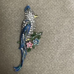 CORO Duette Brooch: Blue Calopsitta / Birds of Paradise