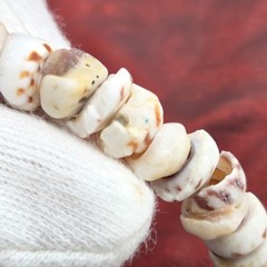 Vtg Tiger Puka Shell Bracelet 7.5″ Spring Ring Closure Weighs 0.5 oz.