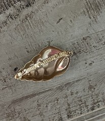 Vintage Conch Sea Shell Gold tone Hinged Scarf Clip 🐚