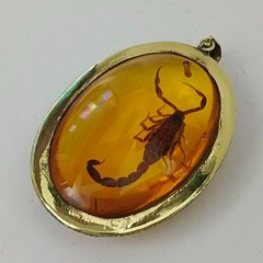 Amber scorpion pendant, natural insect fossil, vintage archaeological jewelry