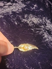 Vintage Gold Tone Brooch Leaf Feather White Bead Prong Ornate Jewelry Costume
