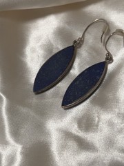 Blue Natural Gemstone Silver tone Dangle Earrings