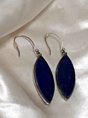 Blue Natural Gemstone Silver tone Dangle Earrings