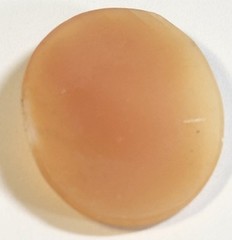 Vintage Shell Cameo 18mm X 23mm