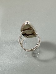 Jay King DTR 925 Silver Irregular Shape Rosita Jasper Ornate Band Ring Size 9.5