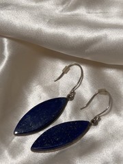Blue Natural Gemstone Silver tone Dangle Earrings