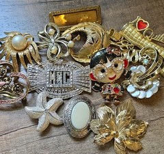 Mostly Vintage Jewlery Lot Some Signed All Wearable Brooches Necklaces Etc