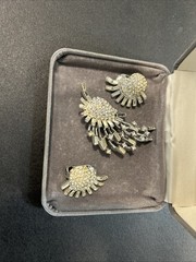 Silver Brooch And Clip On Earrings With Stones