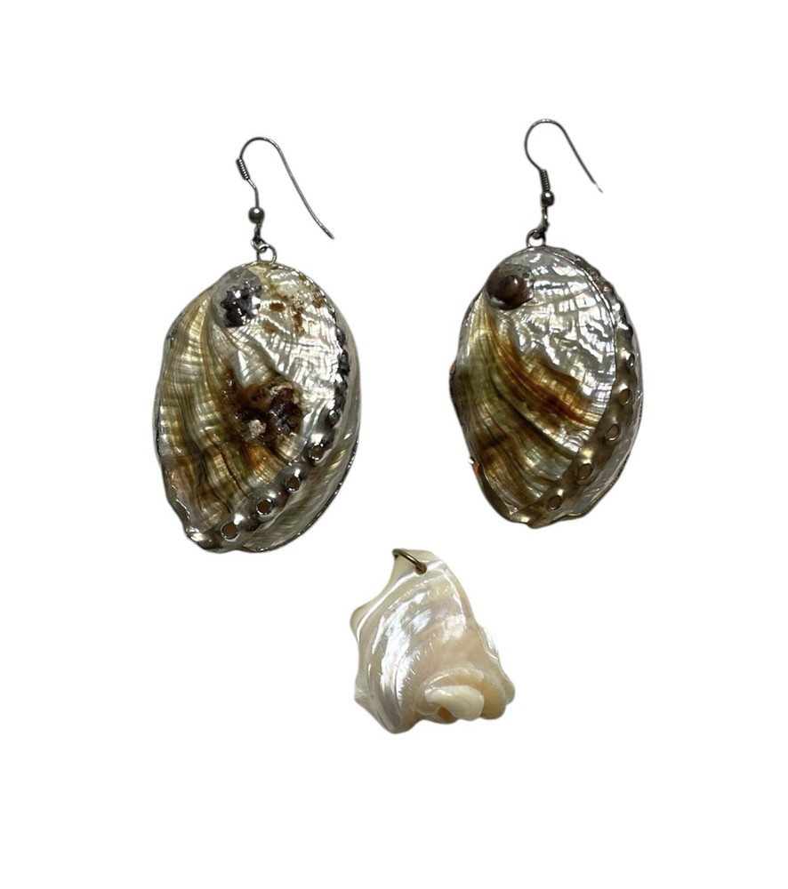 Vintage Iridescent abalone sea shell 2 inch earrings & Smal Pendant