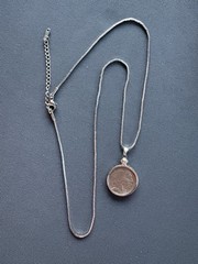 Beautiful Buffalo Nickel Necklace – Authentic Coins – 20in Stainless Chain