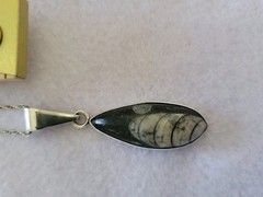 VTG Sterling Silver 925 Orthoceras Fossil Pendant W/ 20″ Rope Chain Necklace