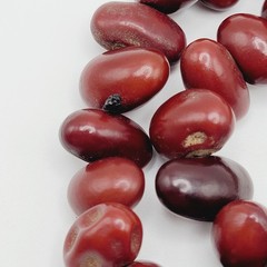 Artisan Hand Strung Red Seed Nut Bead Single Strand Infinity No Clasp Necklace