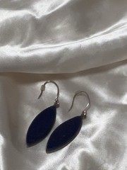 Blue Natural Gemstone Silver tone Dangle Earrings