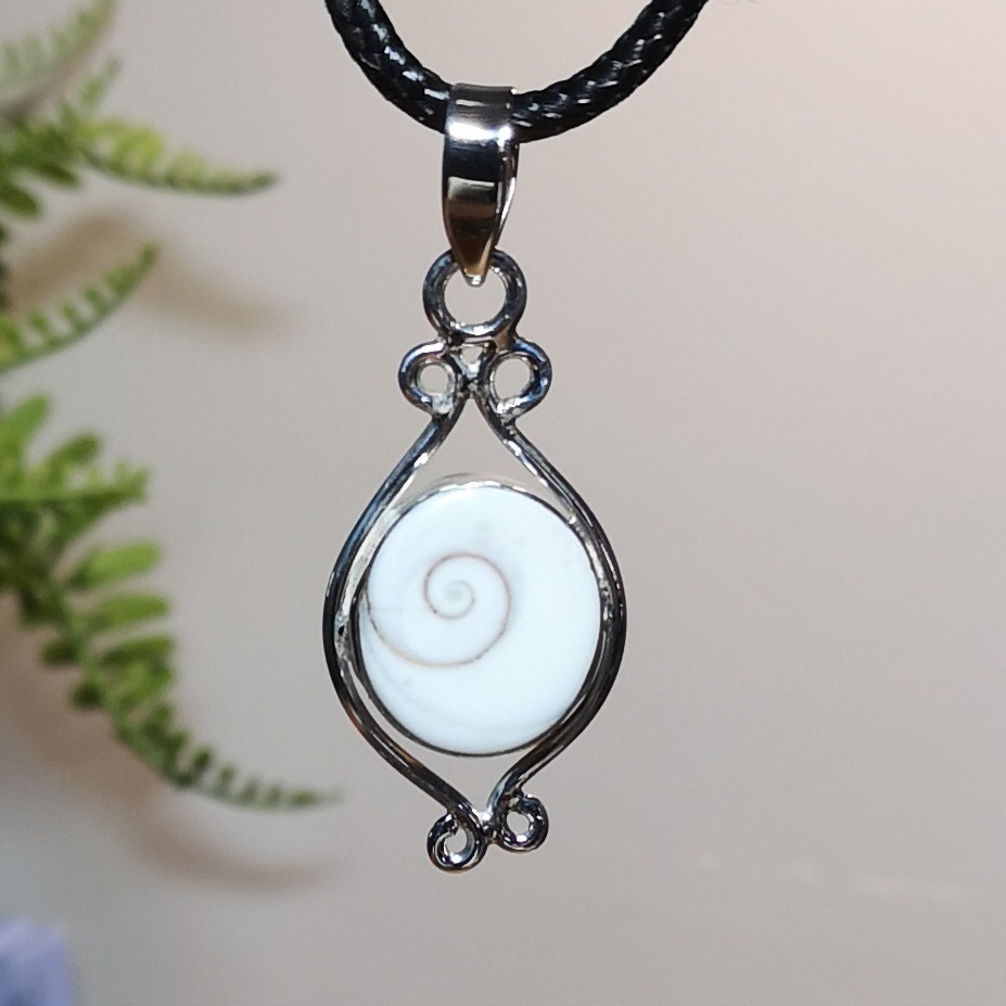 Natural Shiva Eye Shell Sterling Silver Pendant