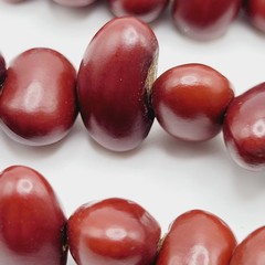 Artisan Hand Strung Red Seed Nut Bead Single Strand Infinity No Clasp Necklace