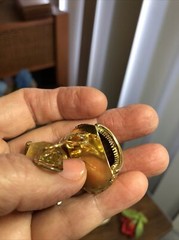 Vintage I.N.A.R Gold tone Ribbed Scalloped Clip on Earrings 15.3g, 1 1/8″ Italy