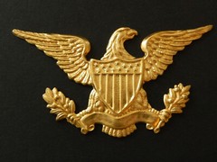 American Eagle XL / Ornate Vintage Brass Stamping / 1 Piece