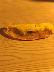 NATURAL OLD ANTIQUE BALTIC AMBER Brooch 12.2 gr