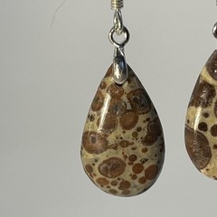 Teardrop Asteroid Jasper Sterling French Wire Earrings Natural Gemstone Casual