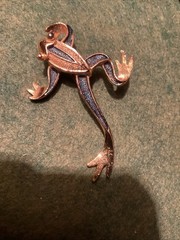 Frog Pin Gerry