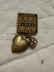 Maximal Art Brooch