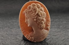 8items , vintage shell cameo White and brown color (Total 322.0ct) with case.